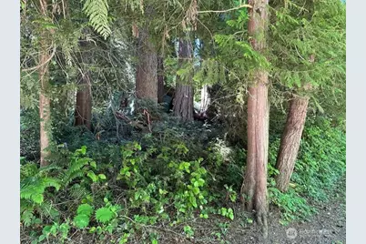 13705 W Lake Kathleen Drive SE, Renton, WA 98059 - Photo 4