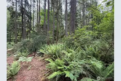 13257 118th Avenue NW, Gig Harbor, WA 98329 - Photo 12