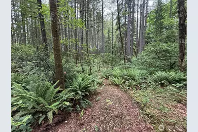 13257 118th Avenue NW, Gig Harbor, WA 98329 - Photo 8