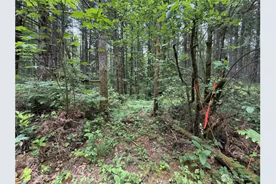 13257 118th Avenue NW, Gig Harbor, WA 98329 - Photo 18