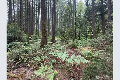 13257 118th Avenue NW, Gig Harbor, WA 98329 - Photo 16