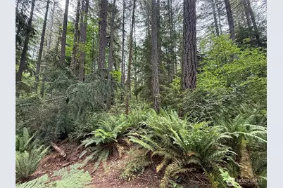 13257 118th Avenue NW, Gig Harbor, WA 98329 - Photo 14