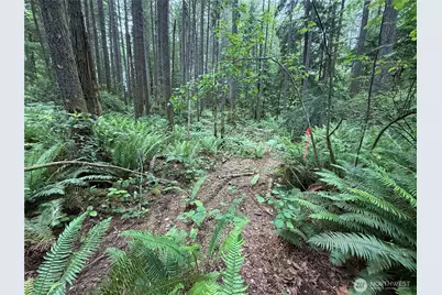 13257 118th Avenue NW, Gig Harbor, WA 98329 - Photo 10