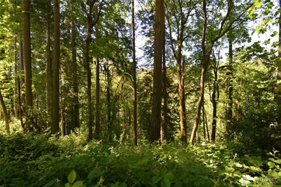 2427 Archwood Drive, Longview, WA 98632 - Photo 6