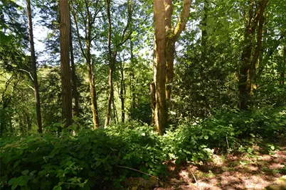 2427 Archwood Drive, Longview, WA 98632 - Photo 4