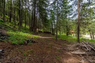 7 Howerton Rd, Twisp, WA 98856 - Photo 1