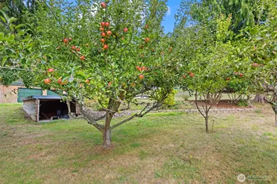 651 W Olympic View Drive, Coupeville, WA 98239 - Photo 38