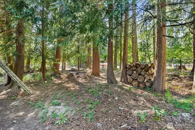 101 Shenandoah Drive, Silverlake, WA 98645 - Photo 30