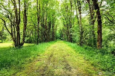 272 Rixon Road, Beaver, WA 98305 - Photo 34