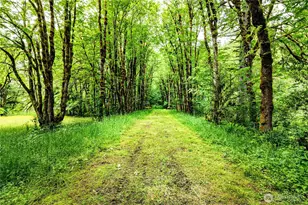 272 Rixon Rd, Beaver, WA 98305 - Photo 34