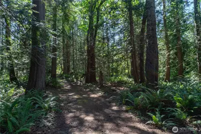 160 Wildwood Shores, Brinnon, WA 98320 - Photo 38