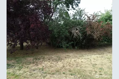 312 2nd Street W, Roy, WA 98580 - Photo 8