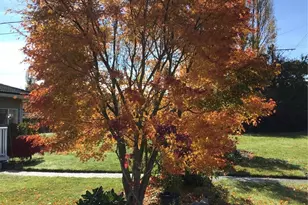 3105 K Ave, Anacortes, WA 98221 - Photo 36