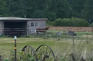 3105 K Ave, Anacortes, WA 98221 - Photo 26