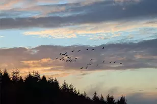 752 Parpala, Naselle, WA 98638 - Photo 34