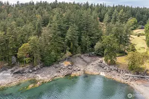 3388 Deer Harbor Rd, Orcas Island, WA 98243 - Photo 38