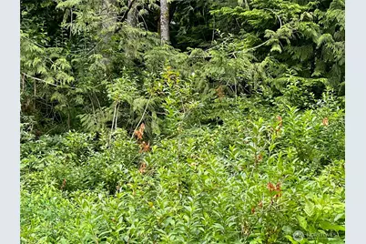 0 Cain Lake Road, Sedro Woolley, WA 98284 - Photo 6