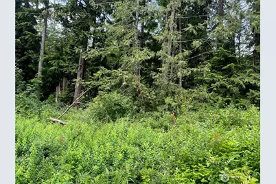 0 Cain Lake Road, Sedro Woolley, WA 98284 - Photo 4