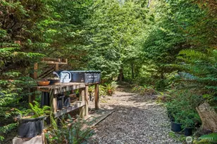 441 Bay Center Rd, Bay Center, WA 98586 - Photo 32