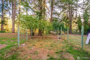 3917 240th St E, Spanaway, WA 98387 - Photo 24