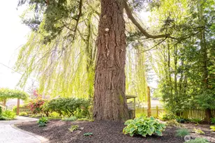 2234 Main St, Ferndale, WA 98248 - Photo 30