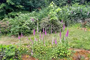 91 N Chandler Ct, Port Ludlow, WA 98365 - Photo 34