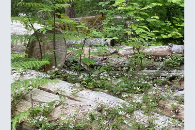 36508 312th Avenue SE, Enumclaw, WA 98022 - Photo 18