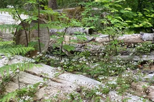 36508 312th Ave SE, Enumclaw, WA 98022 - Photo 18