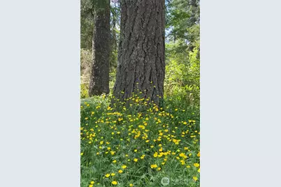 36508 312th Avenue SE, Enumclaw, WA 98022 - Photo 18
