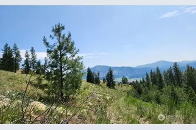 0 Roundabout Road, Tonasket, WA 98859 - Photo 12