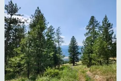 0 Roundabout Road, Tonasket, WA 98859 - Photo 10