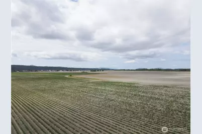 0 Downey Road, Mount Vernon, WA 98273 - Photo 2