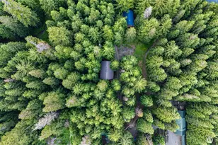 81 Snow Cabin Pl, Snoqualmie Pass, WA 98068 - Photo 30