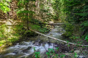81 Snow Cabin Pl, Snoqualmie Pass, WA 98068 - Photo 28