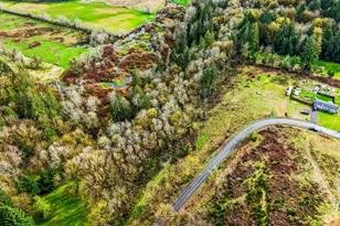 911 Mill Creek, Shelton, WA 98584 - Photo 8