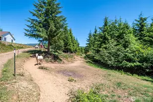 327 Parpala Rd, Naselle, WA 98638 - Photo 20