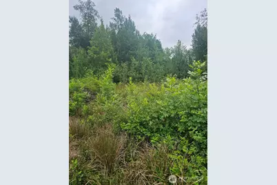 565 Oyler Road, Ethel, WA 98542 - Photo 6
