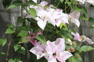 858 Willow Ct SW, Ocean Shores, WA 98569 - Photo 30