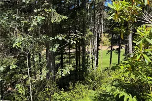 110 E Rhododendron Ln, Union, WA 98592 - Photo 8