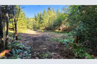 5728 Duane Lane NW, Olympia, WA 98502 - Photo 12