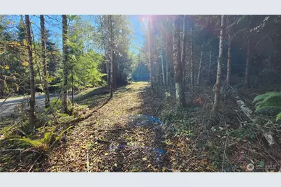 5742 Duane Lane NW, Olympia, WA 98502 - Photo 10