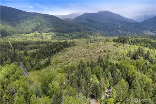 34208 343rd Ave Ct E, Ashford, WA 98304 - Photo 10