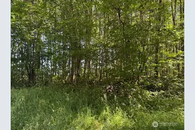 0 Lot 6 Nelson Road, Winlock, WA 98596 - Photo 4