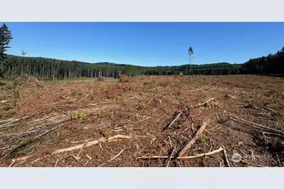 0 Lot 6 Nelson Road, Winlock, WA 98596 - Photo 16