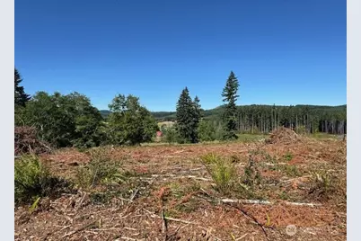 0 Lot 6 Nelson Road, Winlock, WA 98596 - Photo 1