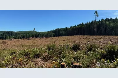 0 Lot 5 Nelson Road, Winlock, WA 98596 - Photo 2