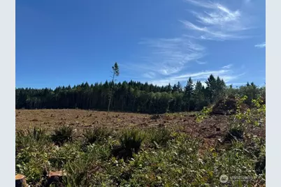 0 Lot 5 Nelson Road, Winlock, WA 98596 - Photo 4