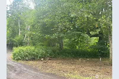 0 Xxxx Skidder Hill Road, Quilcene, WA 98376 - Photo 6