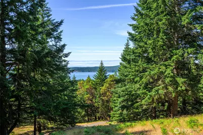 177 Harmon Ranch Hill Road, Decatur Island, WA 98221 - Photo 20