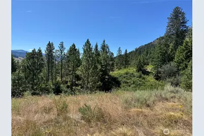 1 A Lundimo Meadows Road, Curlew, WA 99118 - Photo 18